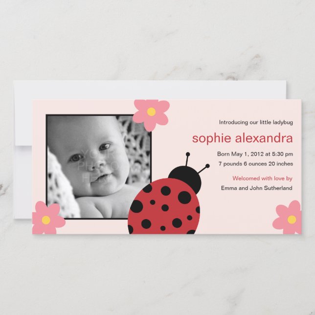 Sweet Ladybug Baby Girl Birth Announcement (Front)