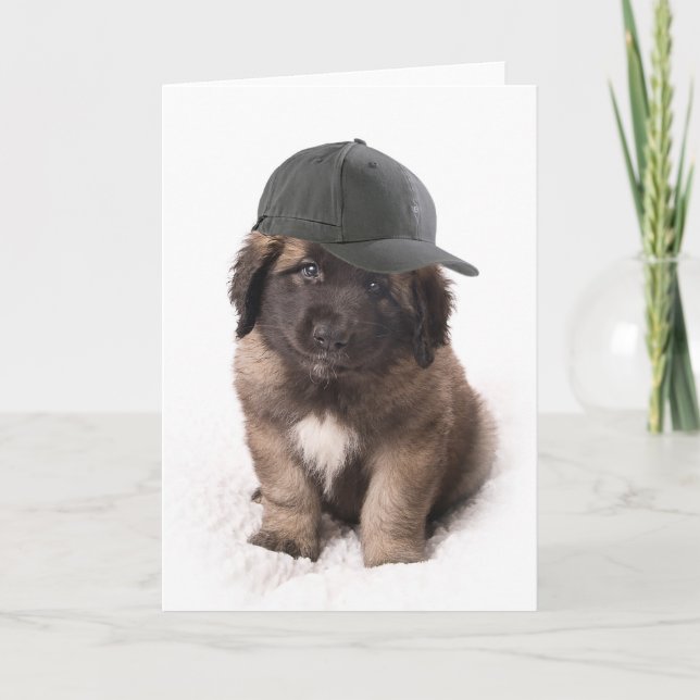 Sweet Leonberger dog puppy with a cap Card (Front)