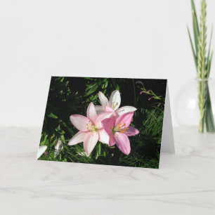 Sweet Lilies Card