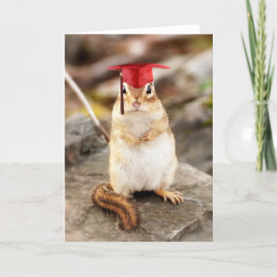 Sweet Little Chipmunk Graduate Greeting Card