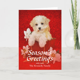 Sweet little Christmas puppy sitting in basket Holiday Card