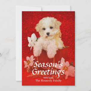 Sweet little Christmas puppy sitting in basket Holiday Card