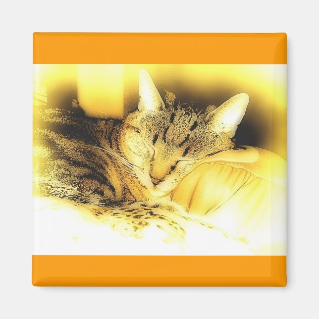 Sweet Little Indigo Magnet (Front)