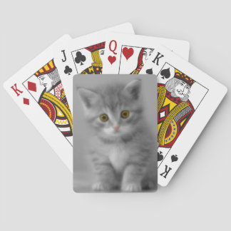 Sweet Little Kitten Playing Cards