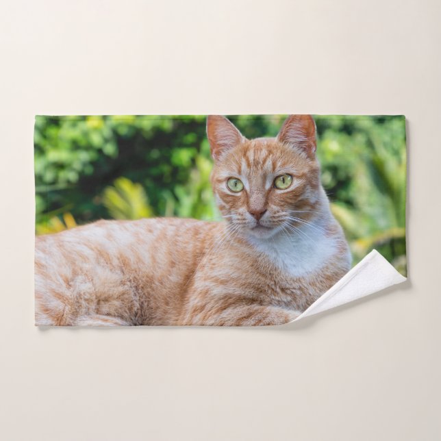 Sweet little kitty hand towel (Hand Towel)