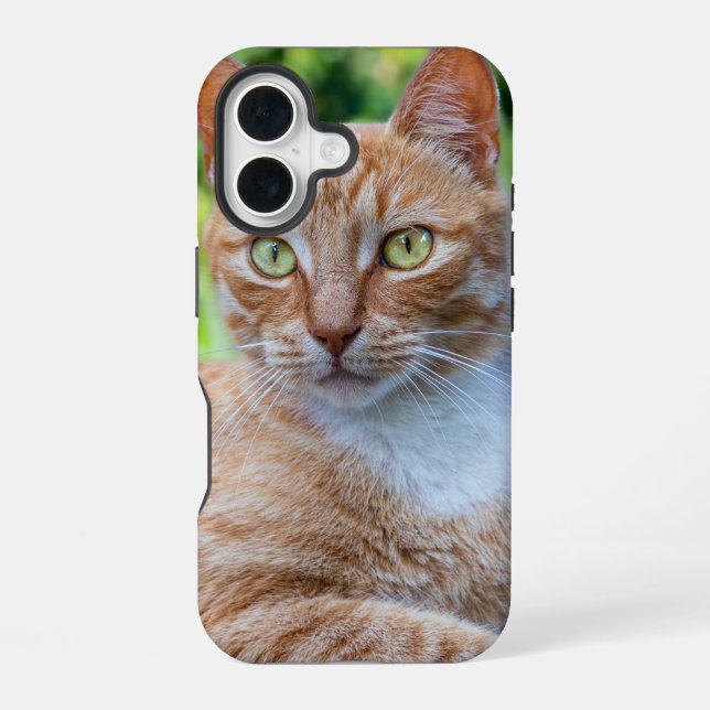 Sweet little kitty iPhone 16 case (Back)