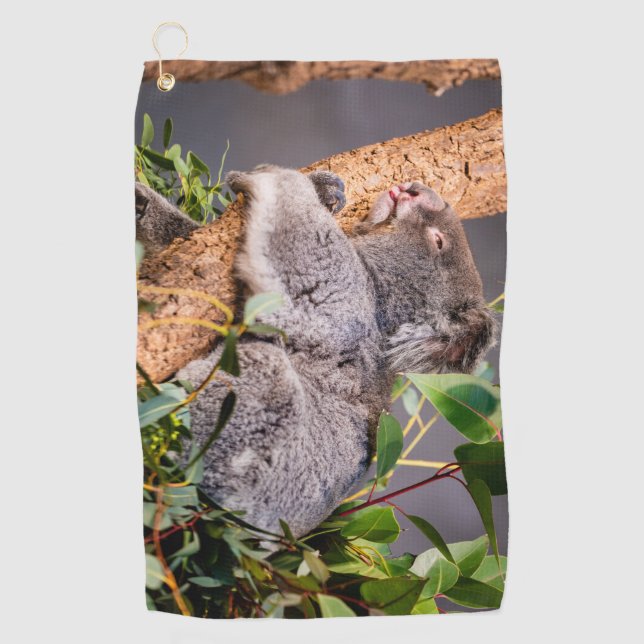 Sweet little koala golf towel (Front)