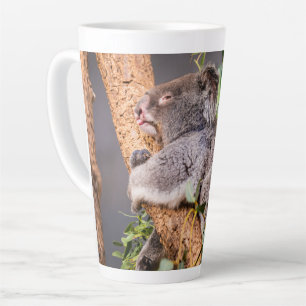 Sweet little koala latte mug