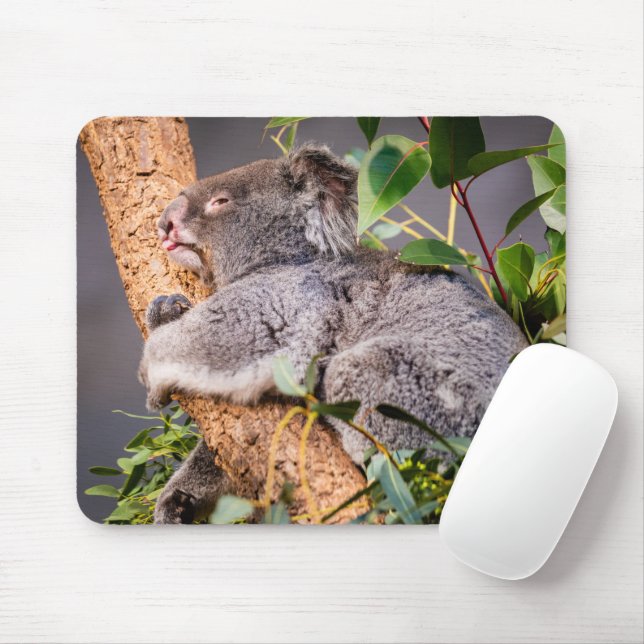 Sweet little koala mouse mat (With Mouse)