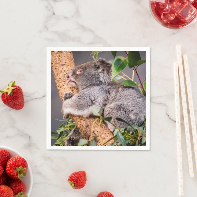 Sweet little koala napkin (Insitu)