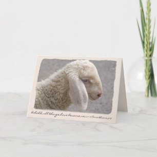Sweet Little Lamb Custom Text Easter/Spring Holiday Card