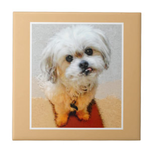 Sweet Little Malshi Ceramic Tile