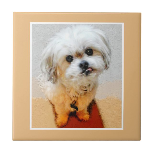 Sweet Little Malshi Ceramic Tile (Front)