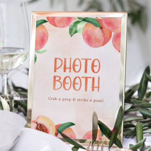 Sweet Little Peach Baby Shower Sign Photo Booth