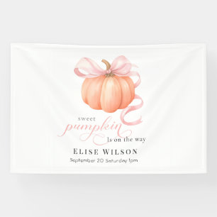 Sweet Little pumpkin pink bow is on the way Banner