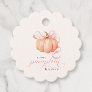 Sweet Little pumpkin pink bow is on the way Favour Tags