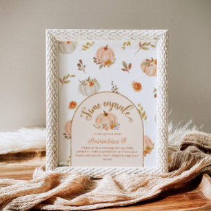 Sweet little pumpkin time capsule birthday poster