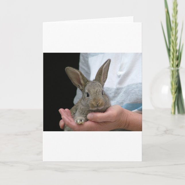 sweet little rabbit card (Front)