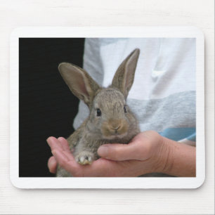 sweet little rabbit mouse mat