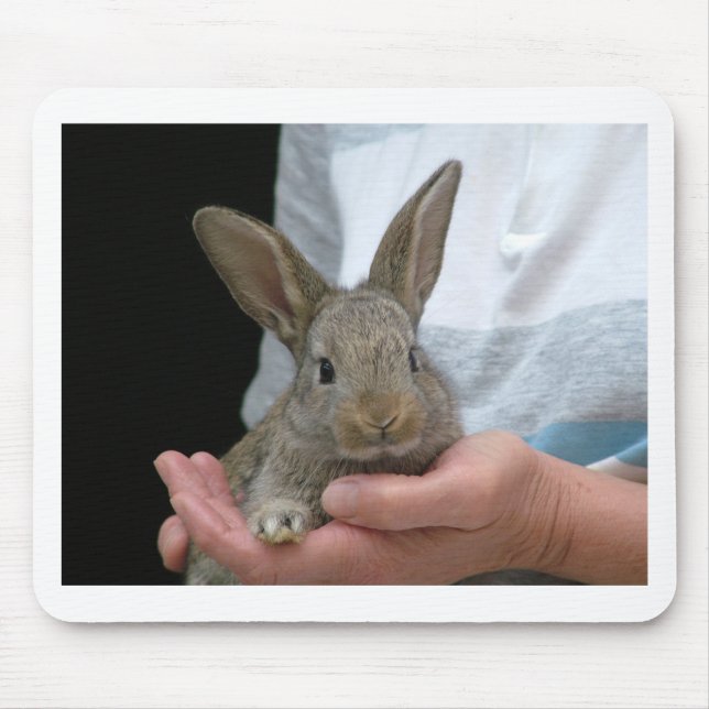 sweet little rabbit mouse mat (Front)