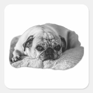 Sweet Look, Simple Joy Square Sticker