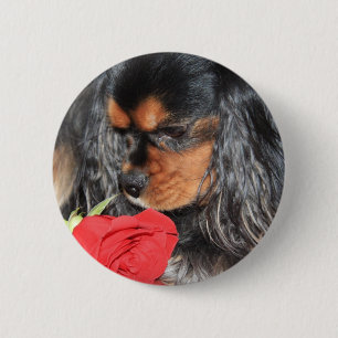 Sweet Love Cavalier King Charles Spaniel 6 Cm Round Badge