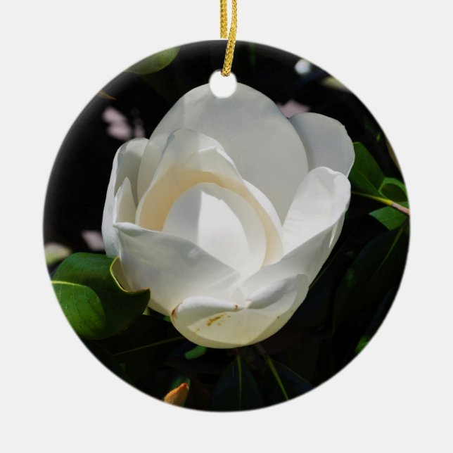 Sweet Magnolia Ceramic Tree Decoration (Front)