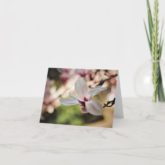 Sweet Magnolias Note Cards (Front)