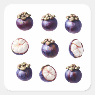 Sweet Mangosteen Tropical Fruit Square Sticker