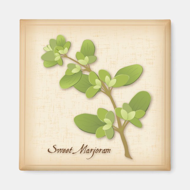 Sweet Marjoram Herb Magnet (Front)