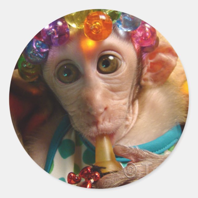 Sweet Meiki Classic Round Sticker (Front)