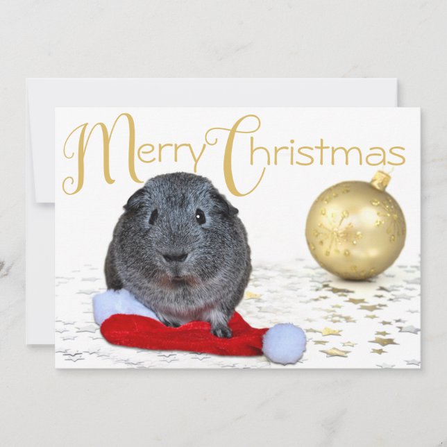 Sweet Merry Christmas Guinea Pig Gold Ornament Holiday Card (Front)
