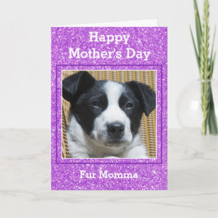 Sweet Mother's Day Girly Glitter Custom Pet Photo Card