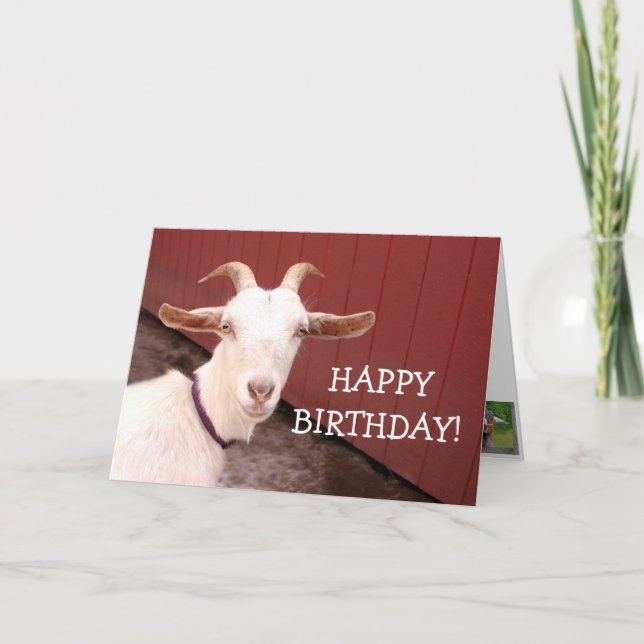 Sweet Nanny Goat Birthday Card (Front)