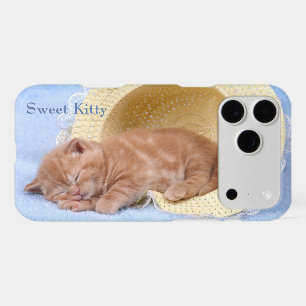Sweet Napping Kitty Perfect Peaceful Cat