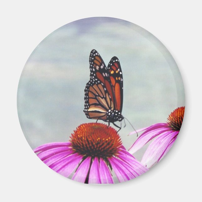 Sweet Nectar - magnet (Front)