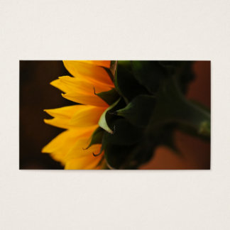 Sweet note (sunflower)