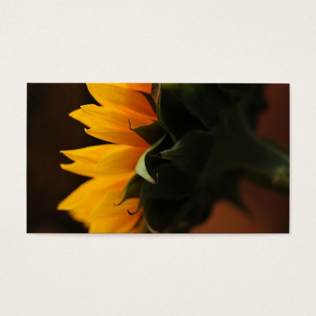 Sweet note (sunflower) (Front)