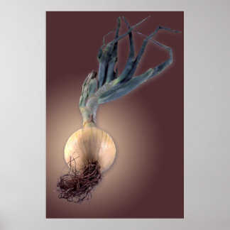 Sweet Onion Poster