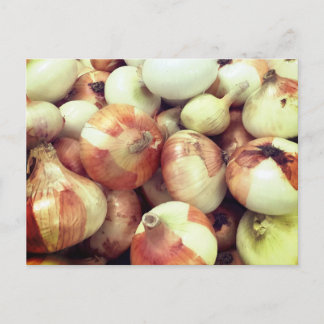 Sweet Onions Postcard