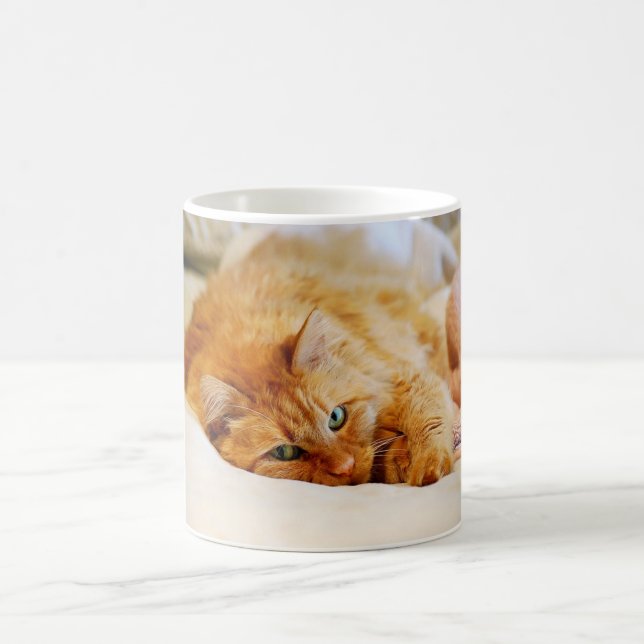 Sweet Orange Cat Mug (Center)