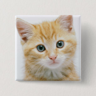 Sweet Orange Tabby 15 Cm Square Badge