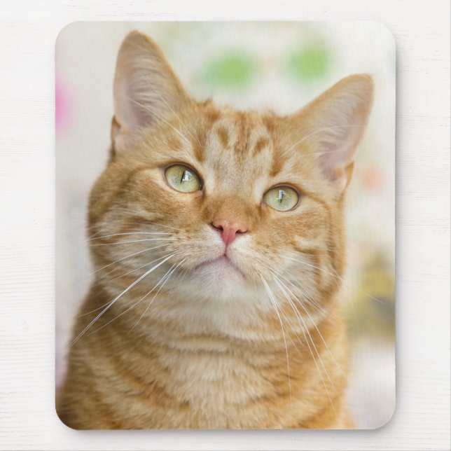 Sweet Orange Tabby Cat Mouse Mat (Front)