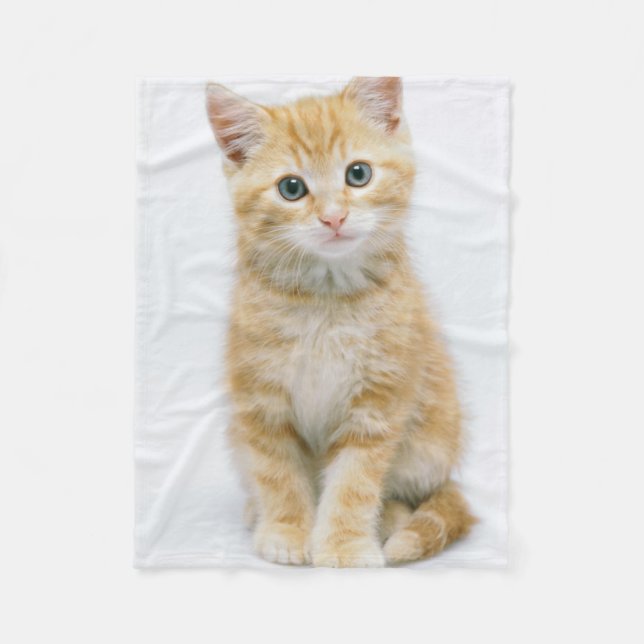 Sweet Orange Tabby Fleece Blanket (Front)