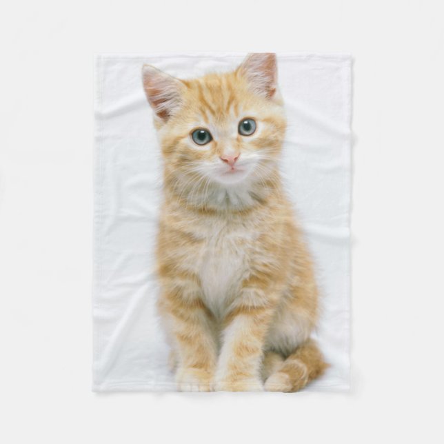 Sweet Orange Tabby Fleece Blanket (Front)