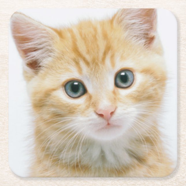 Sweet Orange Tabby Square Paper Coaster (Front)