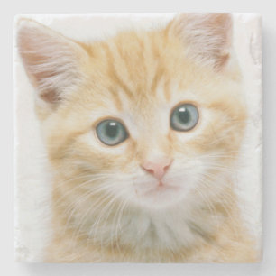 Sweet Orange Tabby Stone Coaster