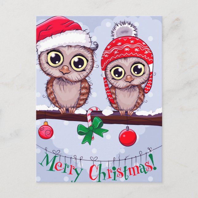 Sweet Owl in Christmas Postcard (Front)