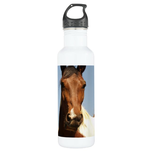 Sweet Paint Horse 710 Ml Water Bottle (Front)
