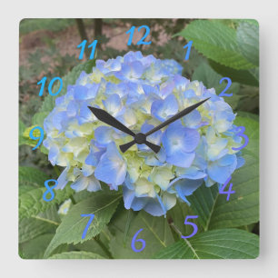 Sweet Pale Blue Mophead Hydrangea Numeral Clock
